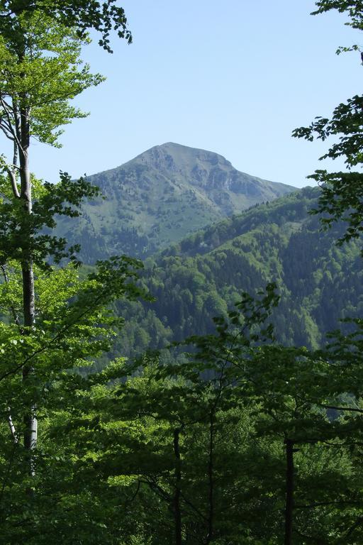 Villa Farm Pri Flandru Cerkno Esterno foto